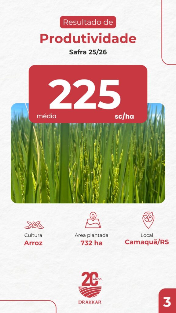 Card de resultado de produtividade da Drakkar mostrando média de 225 sacas por hectare de arroz em área de 732 hectares em Camaquã/RS.