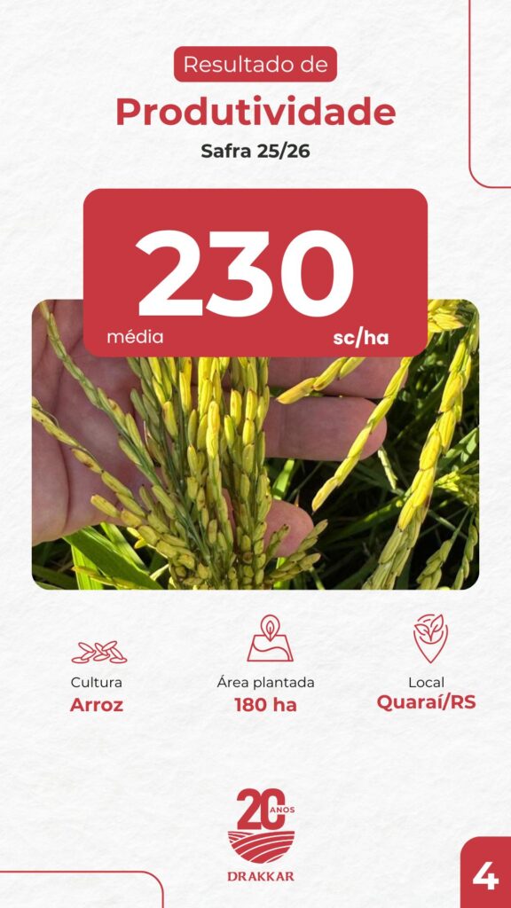 Resultado de produtividade em lavoura de arroz na Safra 25/26 em Quaraí/RS, com média de 230 sacas por hectare em área plantada de 180 hectares, apresentado pela Drakkar Agricultura de Precisão.