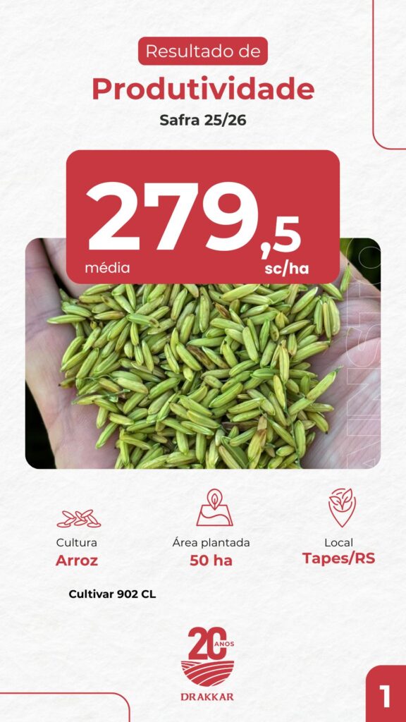 Card de resultado de produtividade da Drakkar mostrando 279,5 sacas por hectare de arroz cultivar 902 CL em área de 50 hectares em Tapes/RS.