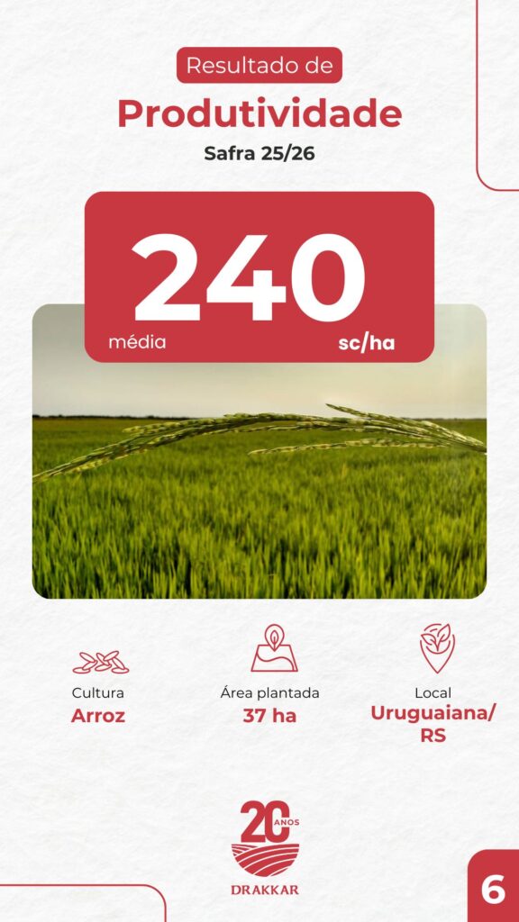 Resultado de produtividade em lavoura de arroz na Safra 25/26 em Uruguaiana/RS, com média de 240 sacas por hectare em área plantada de 37 hectares, apresentado pela Drakkar Agricultura de Precisão.