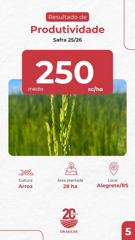 Resultado de produtividade em lavoura de arroz na Safra 25/26 em Alegrete/RS, com média de 250 sacas por hectare em área plantada de 28 hectares, apresentado pela Drakkar Agricultura de Precisão.