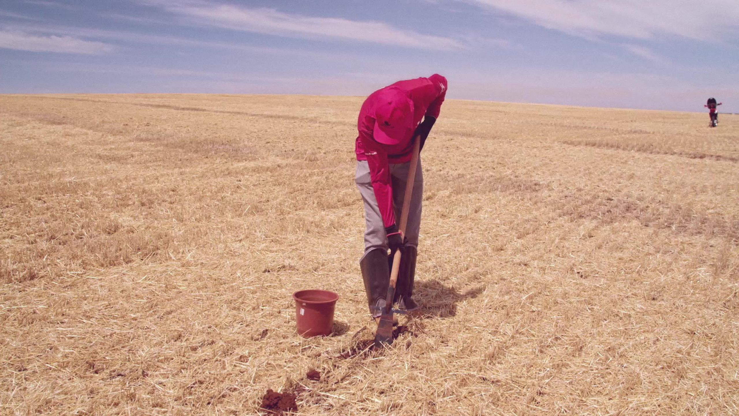 Coleta de solo na camada de 0 a 10 cm para Agricultura de Precisão e manejo da fertilidade.