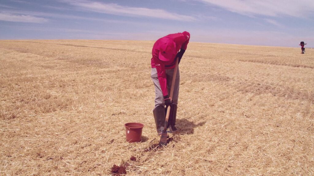 Coleta de solo na camada de 0 a 10 cm para Agricultura de Precisão e manejo da fertilidade.